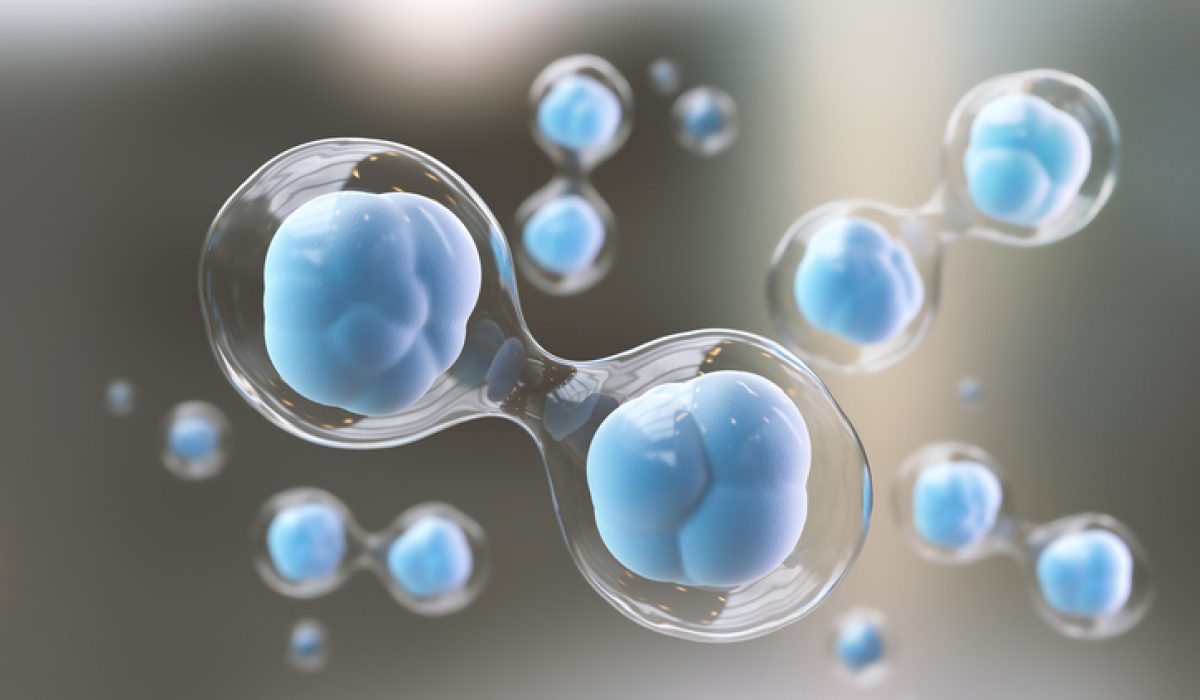 microscope of cell, Embryonic stem cells, Cellular Therapy and Regeneration 3d illustration